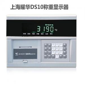 3190 DS10物联网仪表